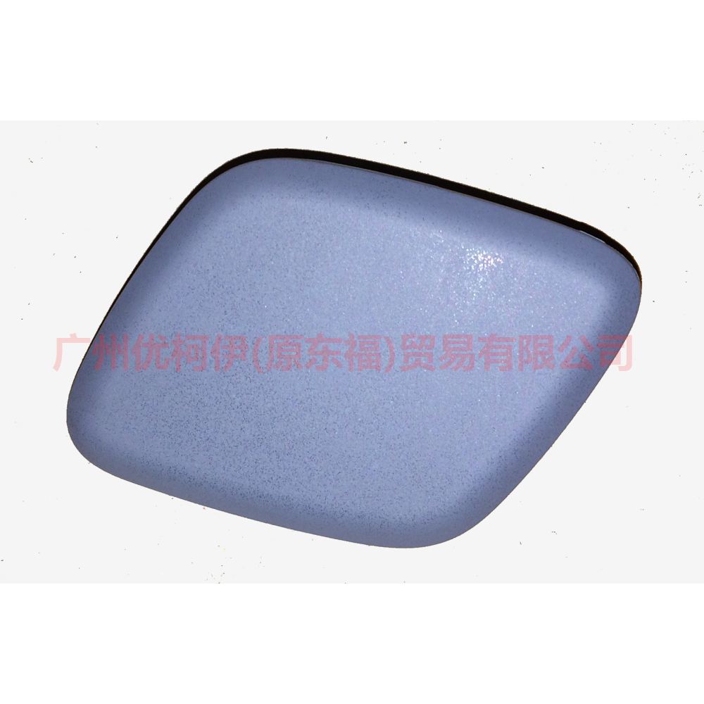 BM5113L019ADXWAA Nozzle cover L For Ford Focus D2 12-14